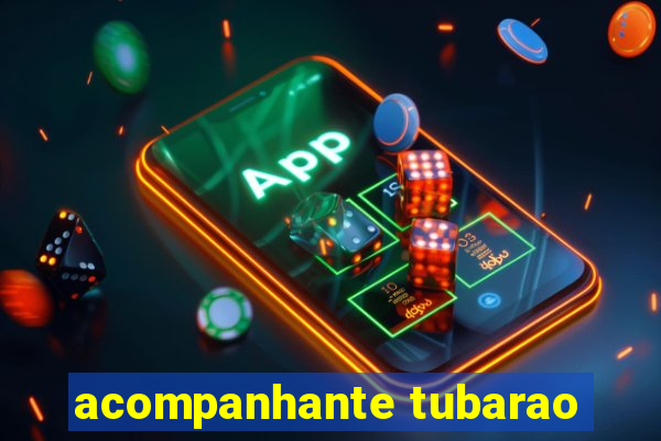 acompanhante tubarao